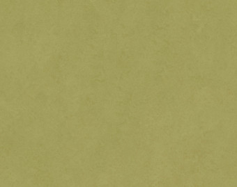 [1001111119_23] Eternal Original - 68792 aspargus
